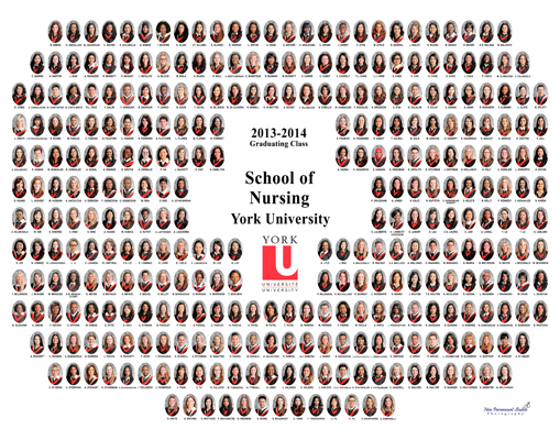 new york university nursing major